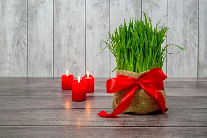 بهترین قسمت خانه برای پهن کردن سفره هفت سین کجاست؟