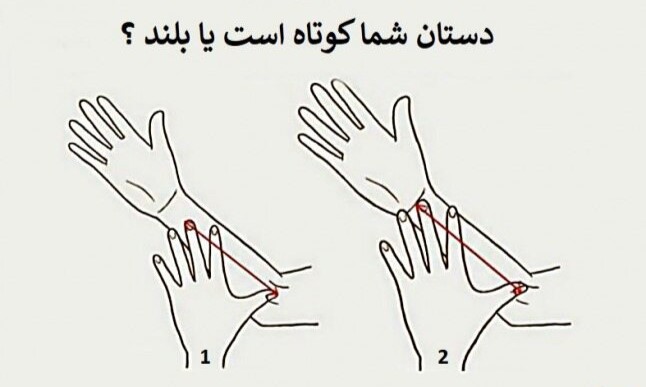 آیا دست شما کوتاه است یا بلند؟ با پاسخ به این سوال ویژگی های شخصیت خود را دریابید