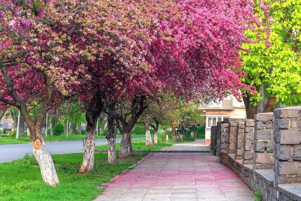 زیباترین شهرهای دیدنی ایران در فصل بهار
