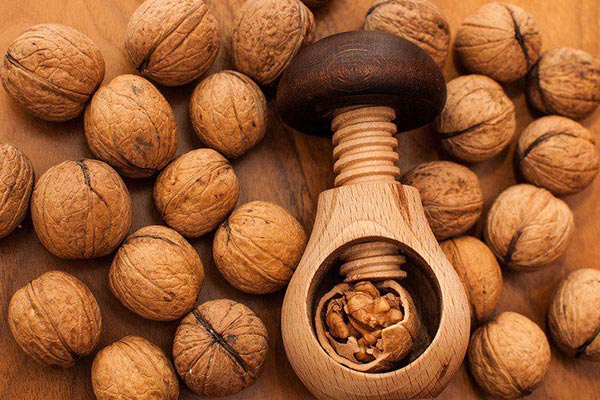چگونه بوی کهنگی گردو را برطرف کنیم؟