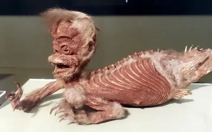 1778742597_f93a48c25a96378e.jpg