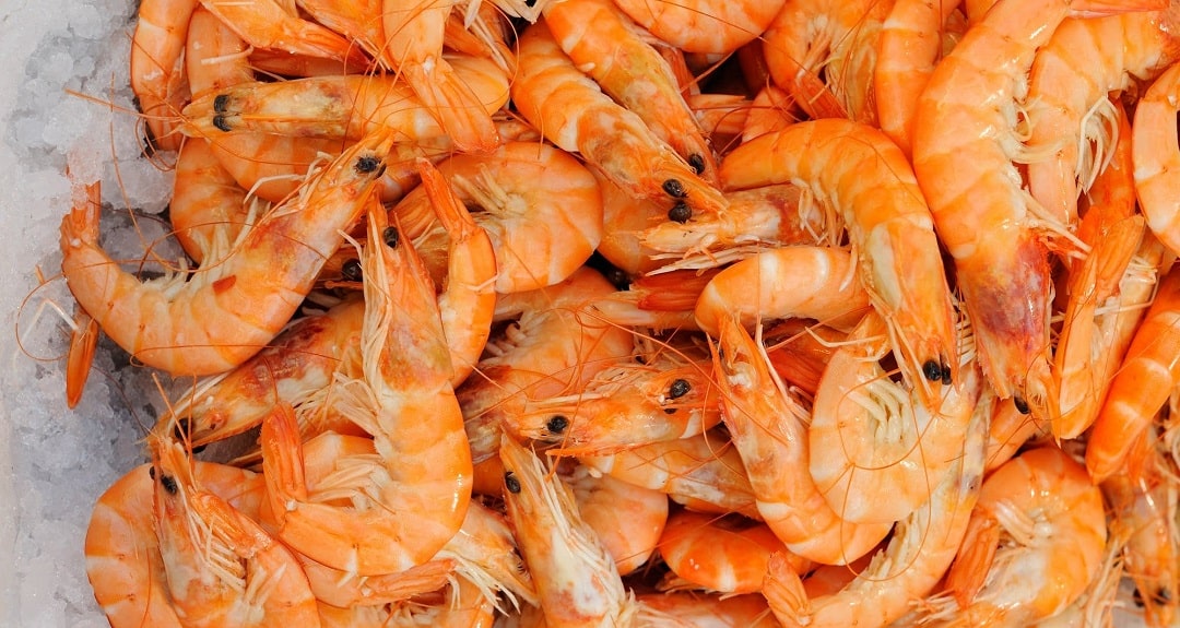 چگونه میگو سالم و تازه را تشخیص دهیم؟