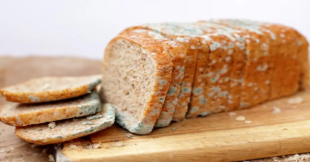 چگونه از کپک زدن نان جلوگیری کنیم؟