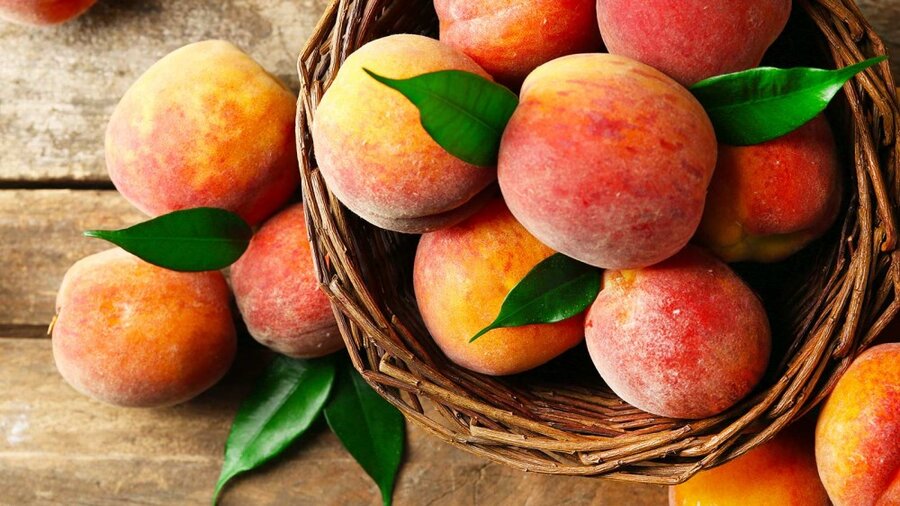 تقویت سیستم ایمنی و سم زدایی بدن با این میوه تابستانی خوشمزه!