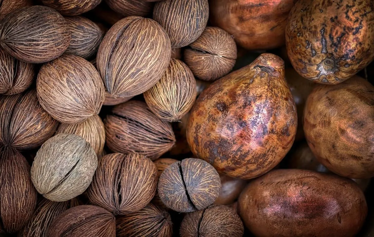 در چه غذاهایی از جوز هندی استفاده کنیم؟