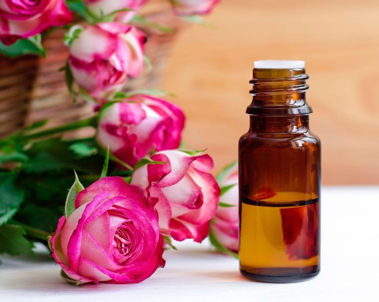 رایحه گل رز، حجم مغز را افزایش و از آلزایمر پیشگری می کند