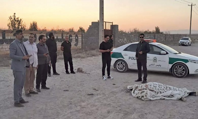 قتل مرد رهگذر مقابل چشمان خانواده به خاطر چند عدد آلو در دهشک
